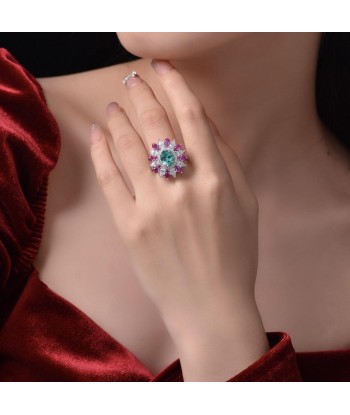 BAGUE VIOLETA hantent personnes