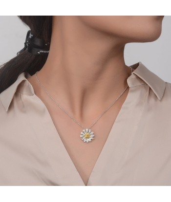 COLLIER SIGNITY SOLEIL Amélioration de cerveau avec